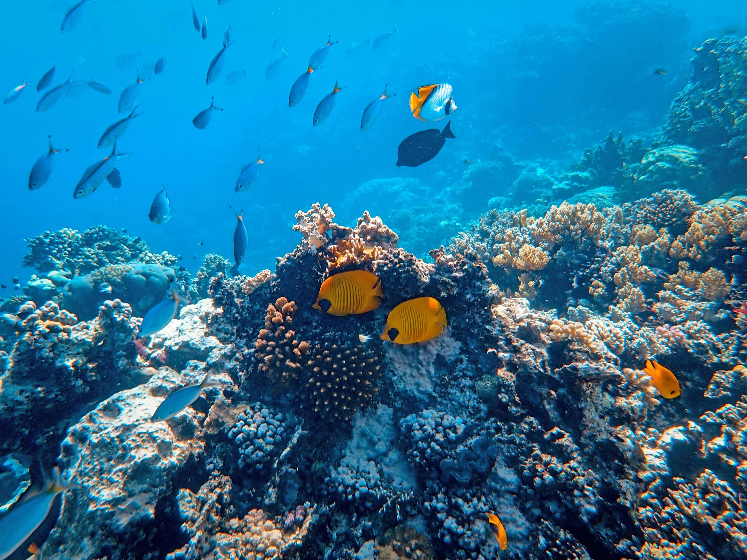 Great Barrier Reef